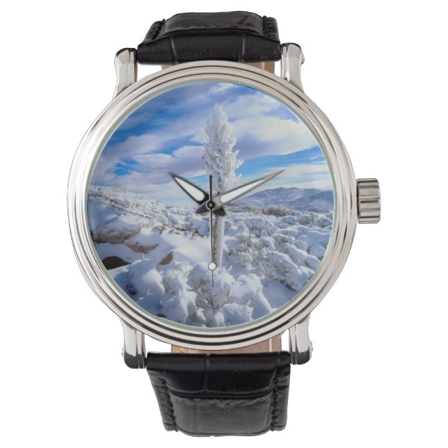 Een met sneeuw bedekte yucca horloge (Voorkant)
