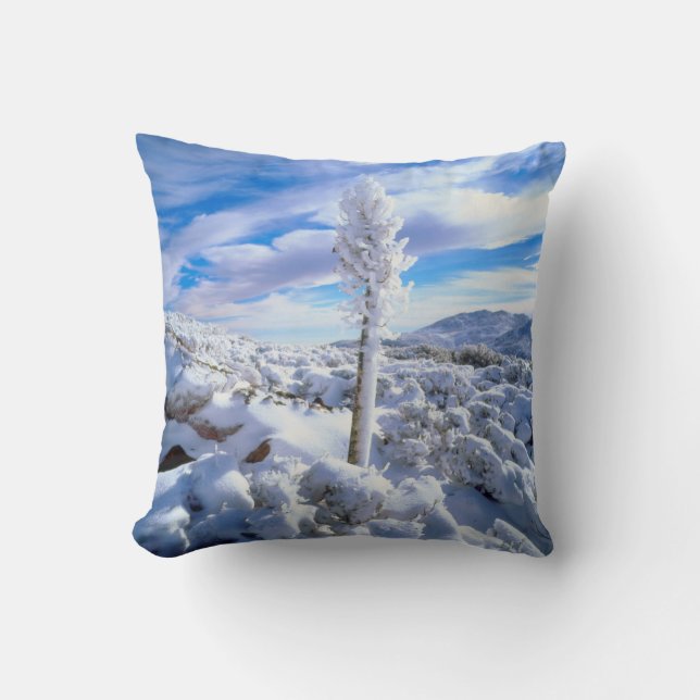 Een met sneeuw bedekte yucca kussen (Voorkant)