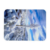 Een met sneeuw bedekte yucca magneet (Horizontaal)