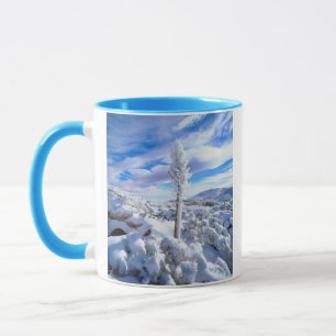Een met sneeuw bedekte yucca mok
