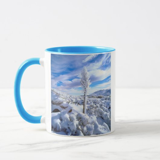 Een met sneeuw bedekte yucca mok (Links)