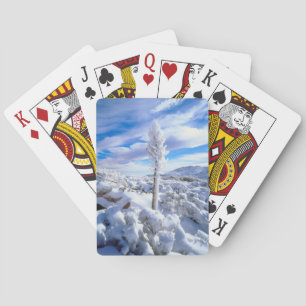 Een met sneeuw bedekte yucca pokerkaarten