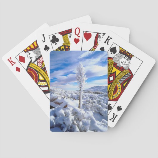 Een met sneeuw bedekte yucca pokerkaarten (Achterkant)