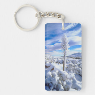 Een met sneeuw bedekte yucca sleutelhanger