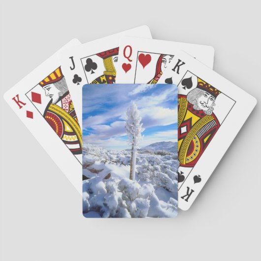 Een met sneeuw bedekte yucca speelkaarten (Achterkant)