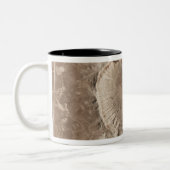 Een meteorietinslagkrater tweekleurige koffiemok (Links)