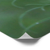 Een Mexicaanse Aster Poster (Hoek)