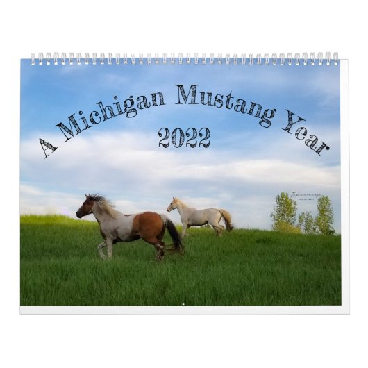 Een Michigan Mustang Jaar Kalender (Hoes)