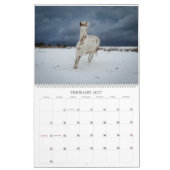 Een Michigan Mustang Jaar Kalender (Feb 2027)