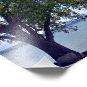 EEN MIDSUMMER'S AFTERNOON IN DE LAK. FOTO FOTO AFDRUK (Hoek)