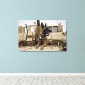 Een militaire werkhond zit op een M2A3 Canvas Afdruk (Insitu (Houten vloer))