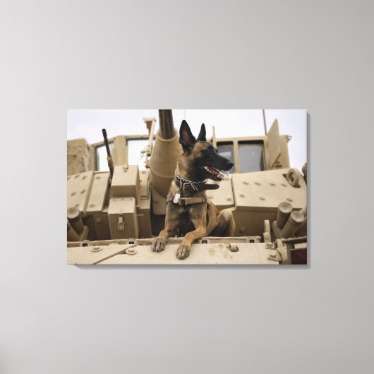Een militaire werkhond zit op een M2A3 Canvas Afdruk (Voorkant)