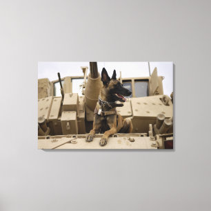 Een militaire werkhond zit op een M2A3 Canvas Afdruk