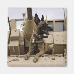 Een militaire werkhond zit op een M2A3 Magneet