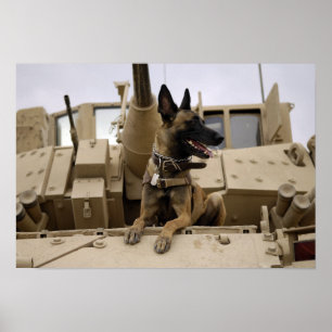 Een militaire werkhond zit op een M2A3 Poster