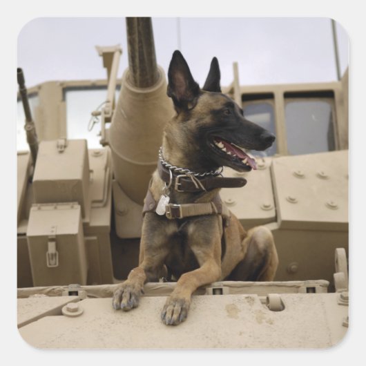 Een militaire werkhond zit op een M2A3 Vierkante Sticker (Voorkant)