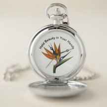 Een miniatuur meesterwerk voor uw zak