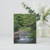 Een miniatuurwaterval briefkaart (Staand voorkant)