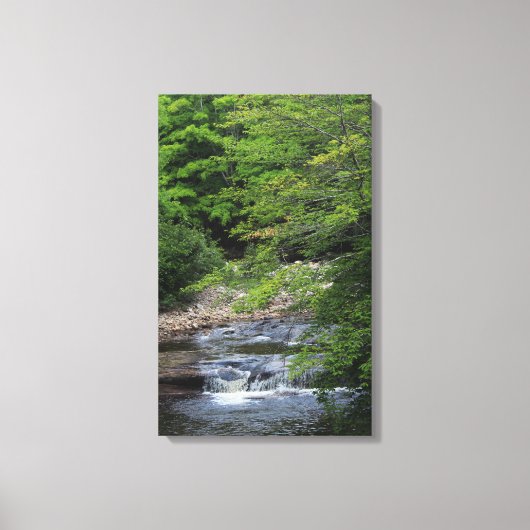 Een miniatuurWaterval Canvas Afdruk (Voorkant)