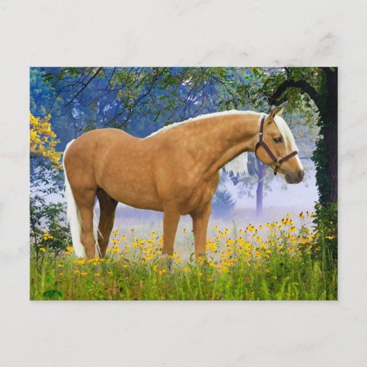 "Een Misty Morning"  Briefkaart (Voorkant)