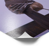 Een Mockingbird Song Bird Foto Afdruk (Hoek)