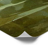 Een moeder die een papegaai presenteert aan een da poster (Hoek)