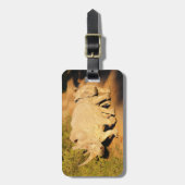 Een Moeder en Calf Witte Rijn in Zuid-Afrika Bagagelabel (Voorkant verticaal)