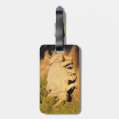 Een Moeder en Calf Witte Rijn in Zuid-Afrika Bagagelabel (Achterkant verticaal)