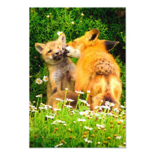 Een Moederkus Wildlife Natuur Kunstprint Foto Afdruk