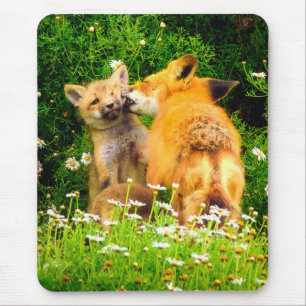 Een Moederkus Wildlife Natuur Kunstprint Muismat