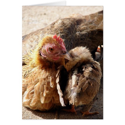 Een moederliefde, allemaal onbeschreven Wenskaart (Voorkant)