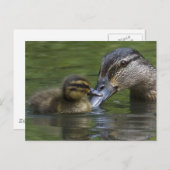 Een moederliefde briefkaart (Voorkant / Achterkant)