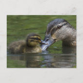 Een moederliefde briefkaart (Voorkant)