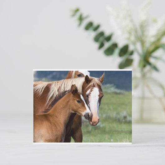 Een moederliefde briefkaart (Staand voorkant)