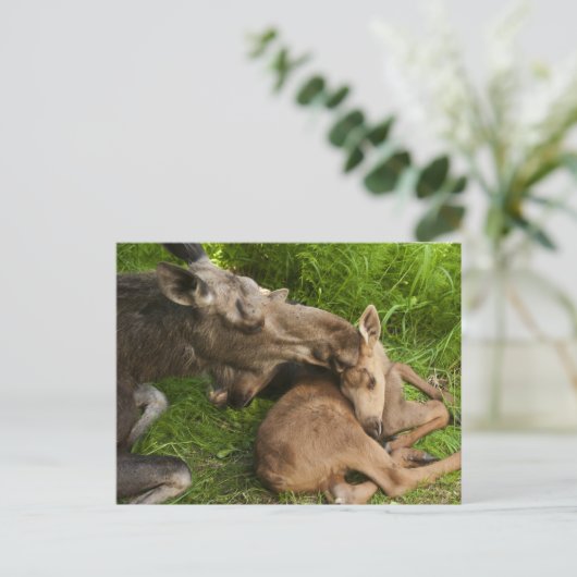 Een moederliefde briefkaart (Staand voorkant)