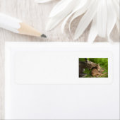 Een moederliefde etiket (Insitu)