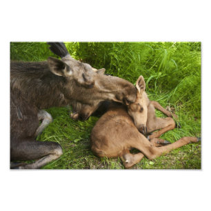 Een moederliefde foto afdruk