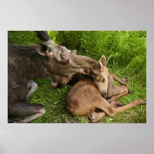 Een moederliefde poster (Voorkant)