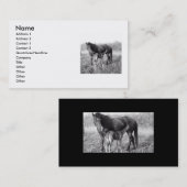 Een moederliefdesmair en -foal visitekaartje (Voorkant / Achterkant)