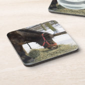 Een moederpaard uit Gotland waar Bier Onderzetter (Linkerzijde)