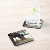 Een moederpaard uit Gotland waar Bier Onderzetter (Rechterzijde)