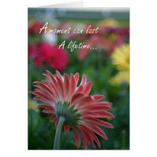 Een moment kan een leven lang roze gerbera maisy d