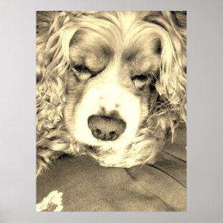 Een moment nemen poster