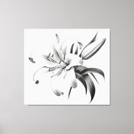 Een moment van bloei Lily Pencil Sketch Charcoal Canvas Afdruk