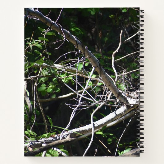 Een moment van Licht Spiraal Notitieboek (Achterkant)