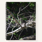 Een moment van Licht Spiraal Notitieboek (Voorkant)