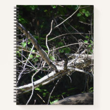 Een moment van Licht Spiraal Notitieboek