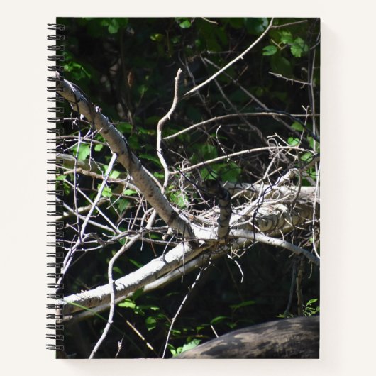 Een moment van Licht Spiraal Notitieboek (Voorkant)