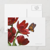 een monarch bezoekt een bouquet rode tulpen briefkaart (Voorkant / Achterkant)