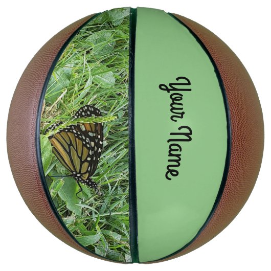 Een Monarch Vlinder Basketbal (Verticaal)